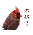 He-yi Painted Birds 01（個別スタンプ：11）