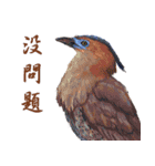 He-yi Painted Birds 01（個別スタンプ：14）