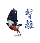 He-yi Painted Birds 01（個別スタンプ：15）