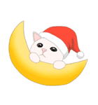 Xmas lovely cat（個別スタンプ：1）