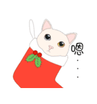 Xmas lovely cat（個別スタンプ：2）