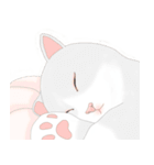 Xmas lovely cat（個別スタンプ：12）