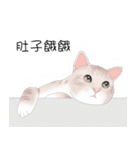 Xmas lovely cat（個別スタンプ：16）