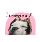 くうちゃん ミンチ 4（個別スタンプ：1）