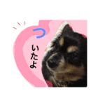 くうちゃん ミンチ 4（個別スタンプ：2）
