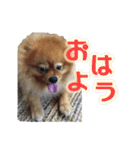 こがらしスタンプ（個別スタンプ：4）