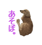 こがらしスタンプ（個別スタンプ：5）