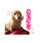 こがらしスタンプ（個別スタンプ：8）