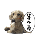 こがらしスタンプ（個別スタンプ：10）