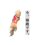 こがらしスタンプ（個別スタンプ：16）