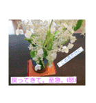 空と植物の日常会話（個別スタンプ：4）