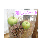 空と植物の日常会話（個別スタンプ：28）