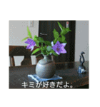 空と植物の日常会話（個別スタンプ：30）