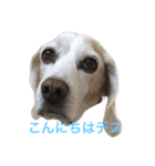 ラルフ＆あくび 2（個別スタンプ：1）