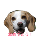 ラルフ＆あくび 2（個別スタンプ：4）