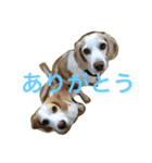 ラルフ＆あくび 2（個別スタンプ：5）