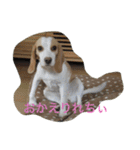 ラルフ＆あくび 2（個別スタンプ：7）