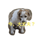 ラルフ＆あくび 2（個別スタンプ：12）