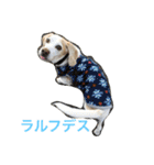 ラルフ＆あくび 2（個別スタンプ：15）