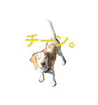 ラルフ＆あくび 2（個別スタンプ：23）