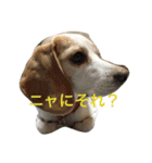 ラルフ＆あくび 2（個別スタンプ：27）