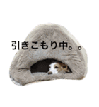 ラルフ＆あくび 2（個別スタンプ：30）