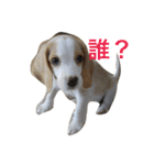 ラルフ＆あくび 2（個別スタンプ：32）