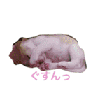 ラルフ＆あくび 2（個別スタンプ：34）