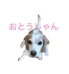 ラルフ＆あくび 2（個別スタンプ：37）