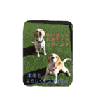 ラルフ＆あくび 2（個別スタンプ：39）