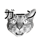 uchinoneko2（個別スタンプ：3）