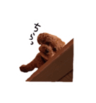 ハッピーわんこ（個別スタンプ：1）