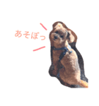 ハッピーわんこ（個別スタンプ：6）