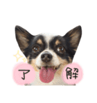 ぷうさん FAMILY！！（個別スタンプ：5）