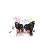 ぷうさん FAMILY！！（個別スタンプ：8）