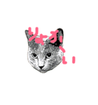 猫 にゃんスタンプ（個別スタンプ：2）