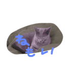 猫 にゃんスタンプ（個別スタンプ：4）