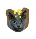 猫 にゃんスタンプ（個別スタンプ：5）