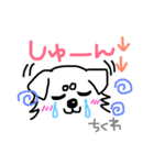 チワワのちくわさん。（個別スタンプ：6）