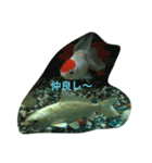 うちのカワイイ金魚ちゃん（個別スタンプ：3）