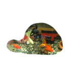 うちのカワイイ金魚ちゃん（個別スタンプ：12）