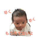 楓ベビー スタンプ（個別スタンプ：5）