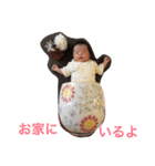 楓ベビー スタンプ（個別スタンプ：6）