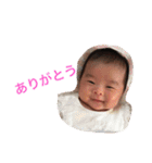 楓ベビー スタンプ（個別スタンプ：28）