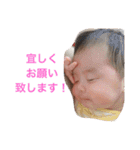楓ベビー スタンプ（個別スタンプ：30）