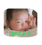 楓ベビー スタンプ（個別スタンプ：31）