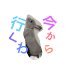 うさぎ、ぴょん（個別スタンプ：6）