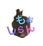 うさぎ、ぴょん（個別スタンプ：7）