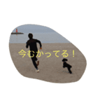 トイプードル 小太郎（個別スタンプ：11）