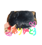 Lovely Lune 2（個別スタンプ：3）